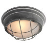 Потолочный светильник Lussole Loft LSP-9881 - Потолочный светильник Lussole Loft LSP-9881