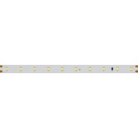  - Лента IC 2-30000 24V Cool 8K 10mm (2835, 60 LED/m, LUX) (Arlight, 4.6 Вт/м, IP20)