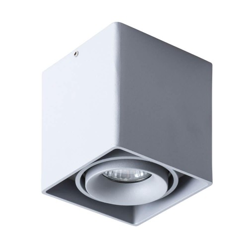 Потолочный светильник Arte Lamp Pictor A5654PL-1GY 