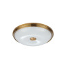 Потолочный светильник Odeon Light Pelow 4956/4 - Потолочный светильник Odeon Light Pelow 4956/4