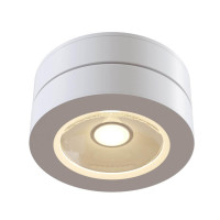  - Потолочный светильник Technical C022CL-L12W