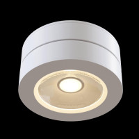  - Потолочный светильник Technical C022CL-L12W