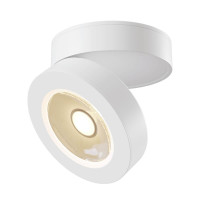  - Потолочный светильник Technical C022CL-L12W