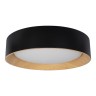 Потолочный светодиодный светильник Loft IT Coin 10202 Black - Потолочный светодиодный светильник Loft IT Coin 10202 Black