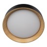 Потолочный светодиодный светильник Loft IT Coin 10202 Black - Потолочный светодиодный светильник Loft IT Coin 10202 Black