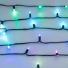 Светодиодная гирлянда ARD-STRING-CLASSIC-6000-BLACK-40LED-LIVE RGB-SPI (12V, 26W) (Ardecoled, IP65) - Светодиодная гирлянда ARD-STRING-CLASSIC-6000-BLACK-40LED-LIVE RGB-SPI (12V, 26W) (Ardecoled, IP65)