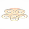 Потолочная светодиодная люстра Evoled Cotta SLE501252-06RGB - Потолочная светодиодная люстра Evoled Cotta SLE501252-06RGB