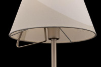  - Настольная лампа Freya Vanessa FR5084TL-01G