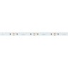 Лента RS-S120-8mm 24V Blue (9.6 W/m, IP20, 3014, 5m) (Arlight, боковое свечение) - Лента RS-S120-8mm 24V Blue (9.6 W/m, IP20, 3014, 5m) (Arlight, боковое свечение)