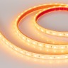 Лента герметичная RTW-PFS-B60-13mm 24V Yellow (14.4 W/m, IP68, 5060, 5m) (Arlight, 14.4 Вт/м, IP68) - Лента герметичная RTW-PFS-B60-13mm 24V Yellow (14.4 W/m, IP68, 5060, 5m) (Arlight, 14.4 Вт/м, IP68)