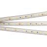 Лента герметичная RTW-PS-B60-13mm 24V Warm3000 (14.4 W/m, IP67, 5060, 5m) (Arlight, 14.4 Вт/м, IP67) - Лента герметичная RTW-PS-B60-13mm 24V Warm3000 (14.4 W/m, IP67, 5060, 5m) (Arlight, 14.4 Вт/м, IP67)