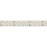 Лента RT-A252-19mm 24V Day4000 (27 W/m, IP20, 2835, 5m) (Arlight, Открытый) - Лента RT-A252-19mm 24V Day4000 (27 W/m, IP20, 2835, 5m) (Arlight, Открытый)