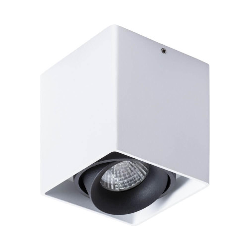 Потолочный светильник Arte Lamp Pictor A5654PL-1WH 